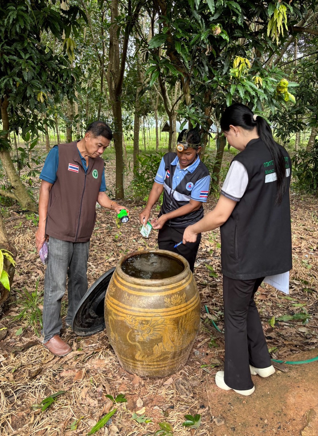 ดำเนินการควบคุมและป้องกันการแพร่ระบาดของโรคไข้เลือดออกในพื้น